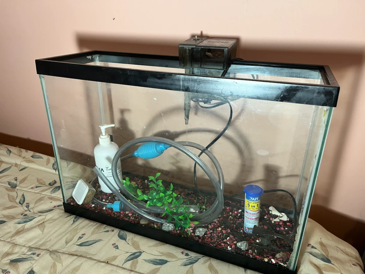Fish tank