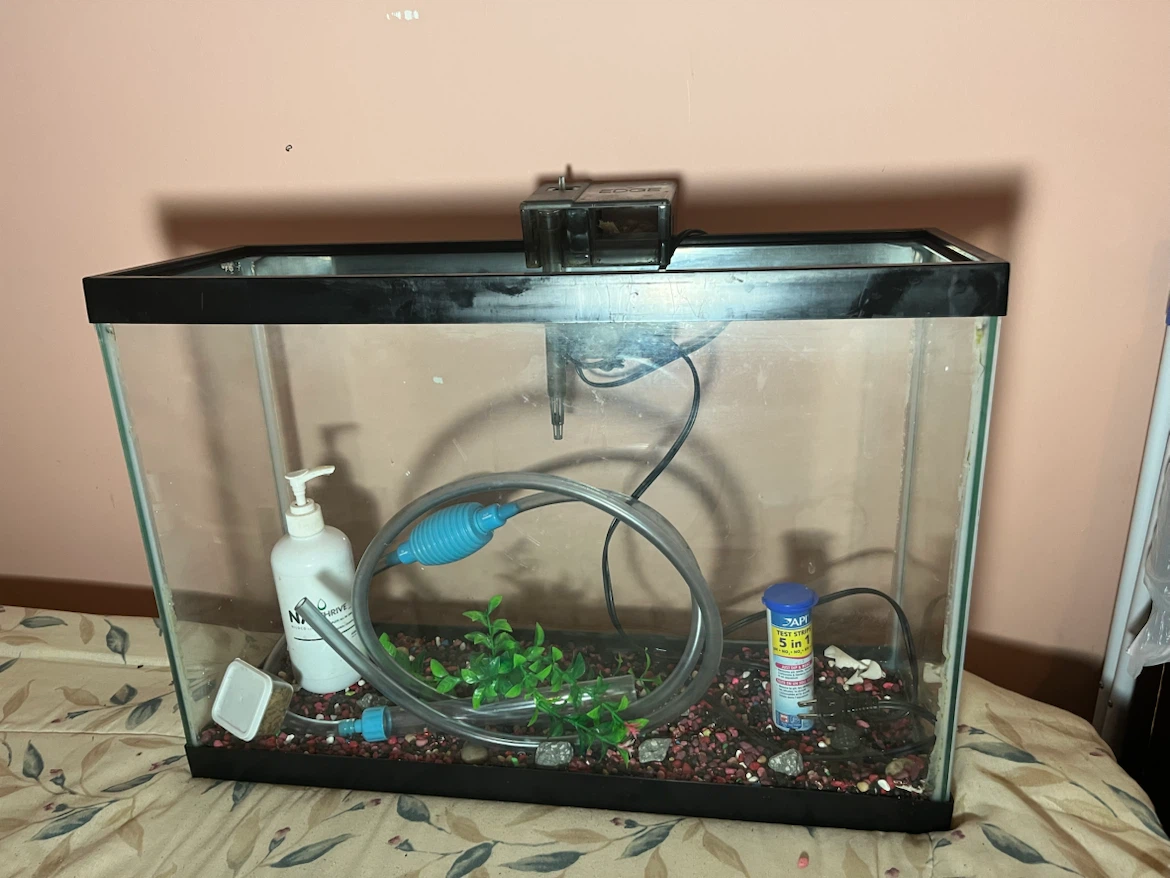 Fish tank - photo 2
