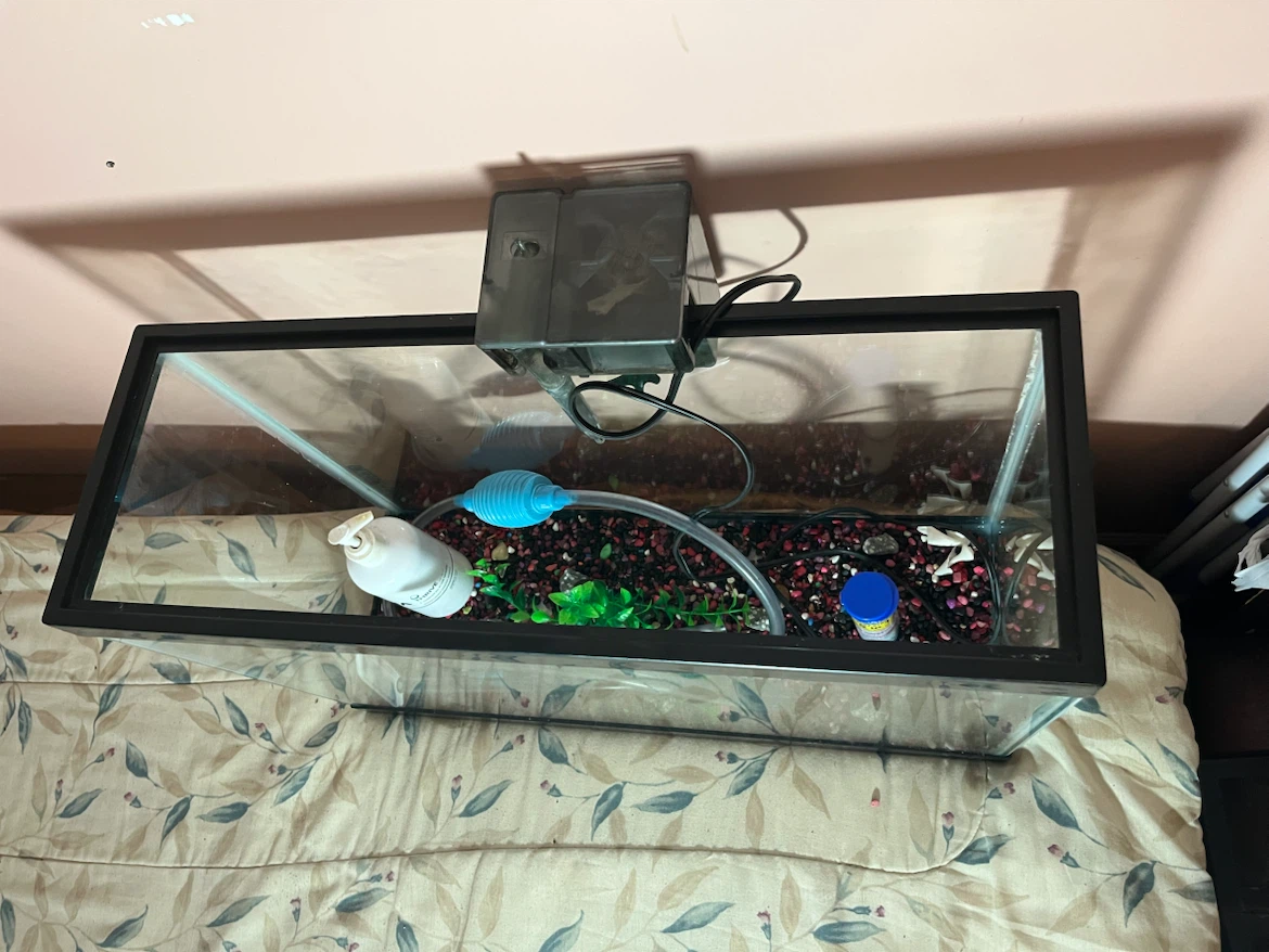 Fish tank - photo 3