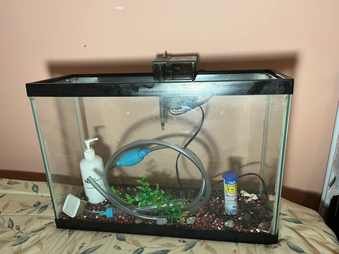 Fish tank - photo 4