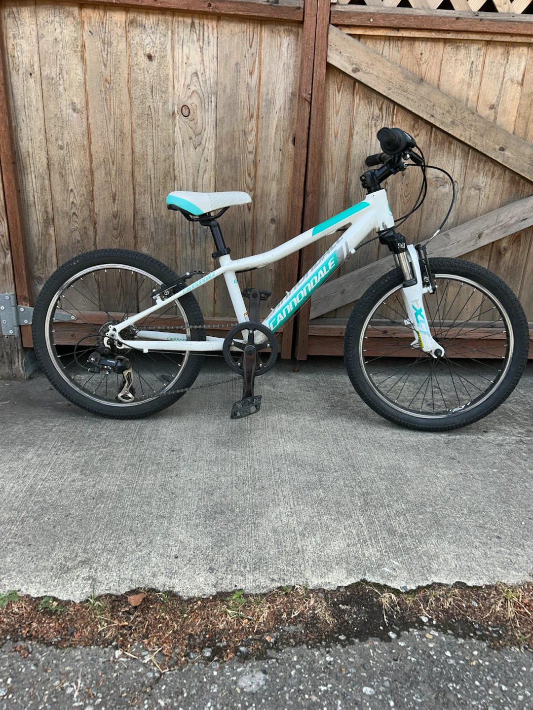 Cannondale Kids Bike