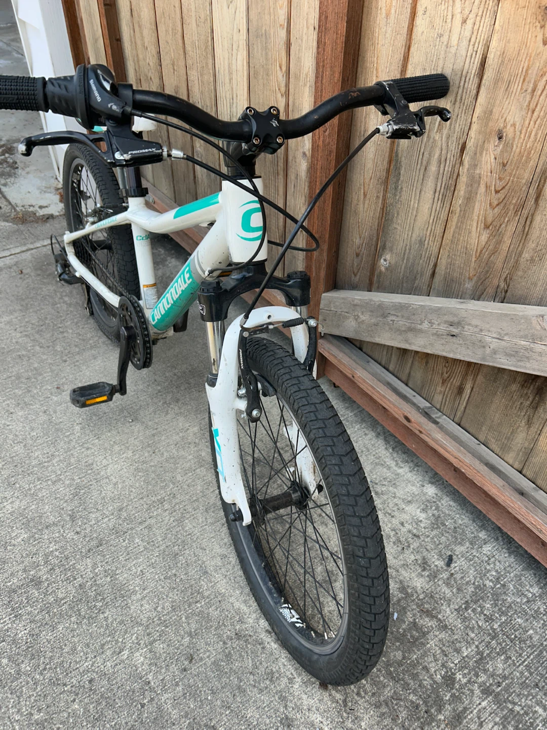 Cannondale Kids Bike - photo 2