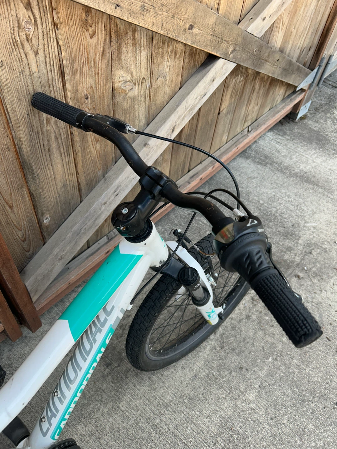 Cannondale Kids Bike - photo 3