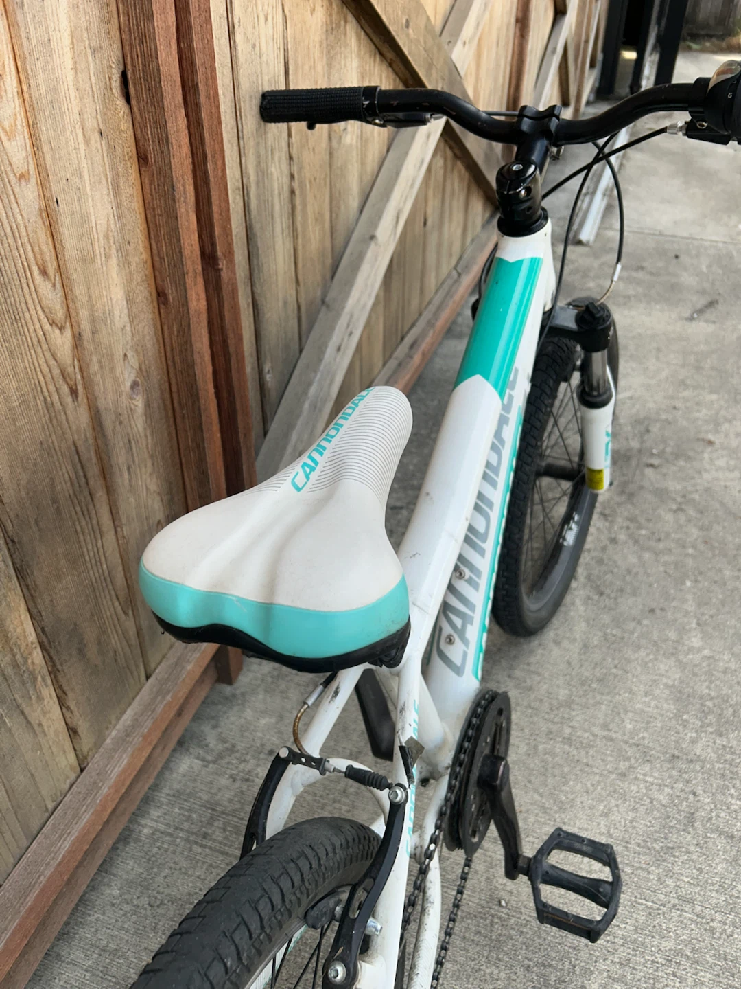Cannondale Kids Bike - photo 5