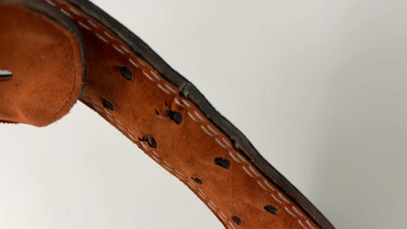 TMT Leather Weightlifting Belt - photo 3