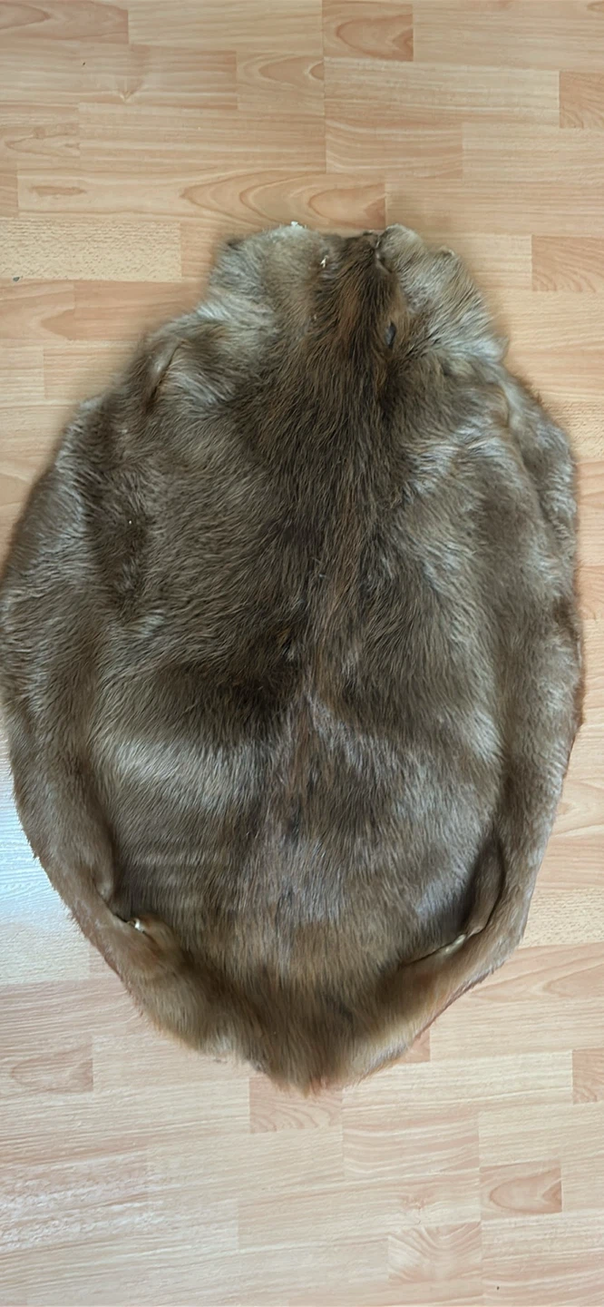 Beaver Pelt Rug