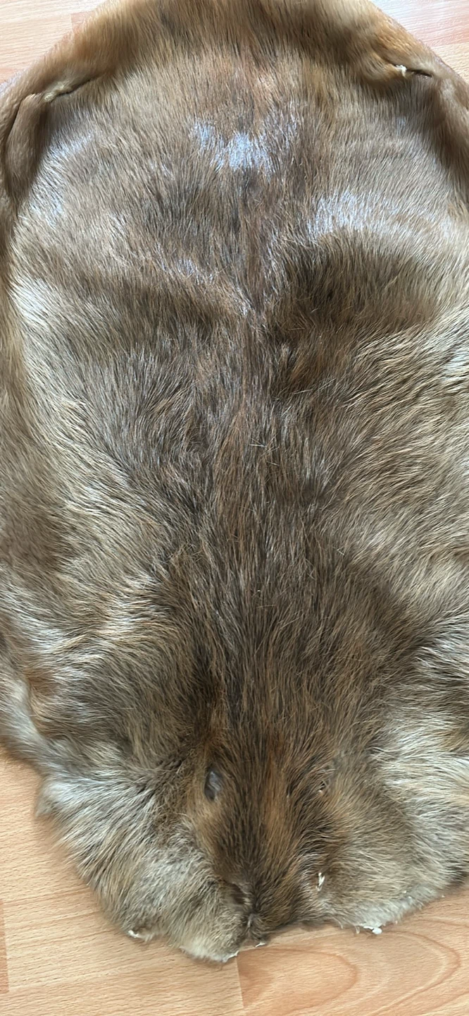 Beaver Pelt Rug - photo 2