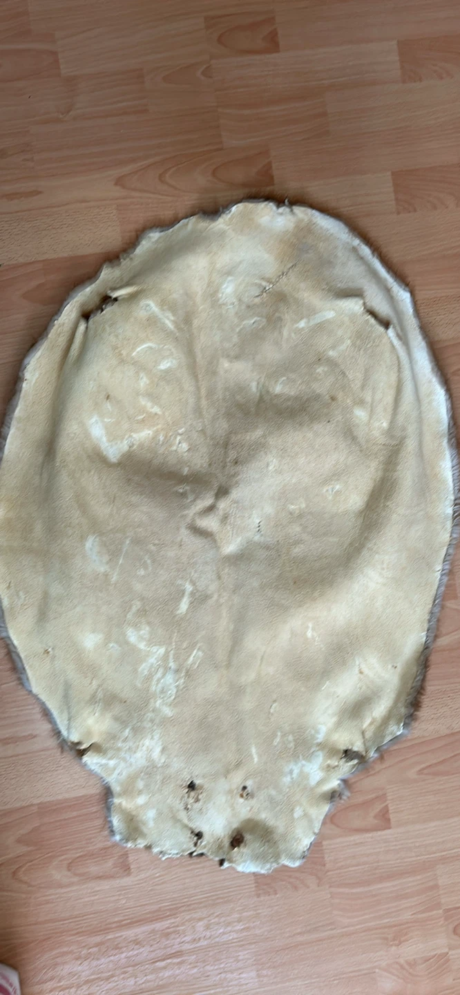Beaver Pelt Rug - photo 3