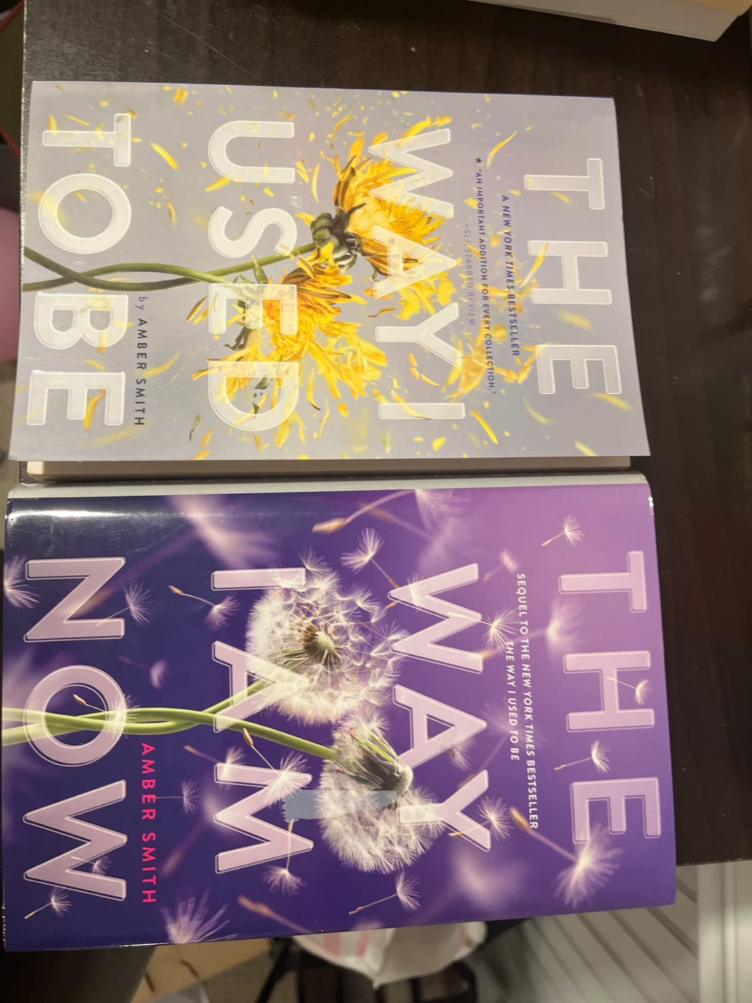 The Way I Used to Be & The Way I Am Now Books by Amber Smith