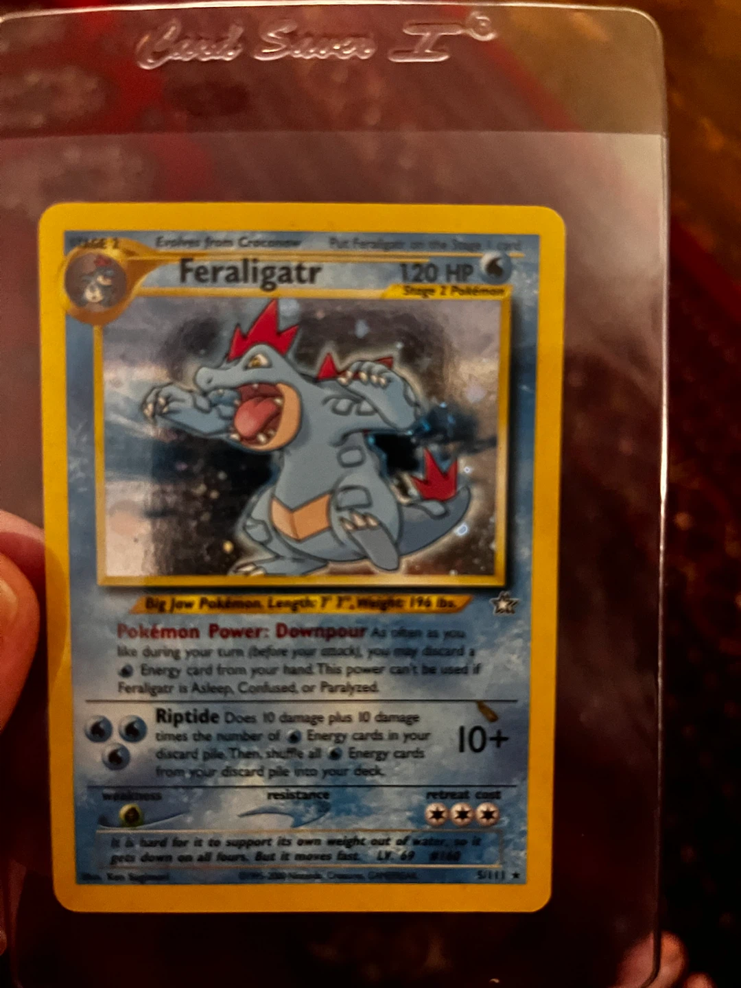 Feraligatr Pokémon Card