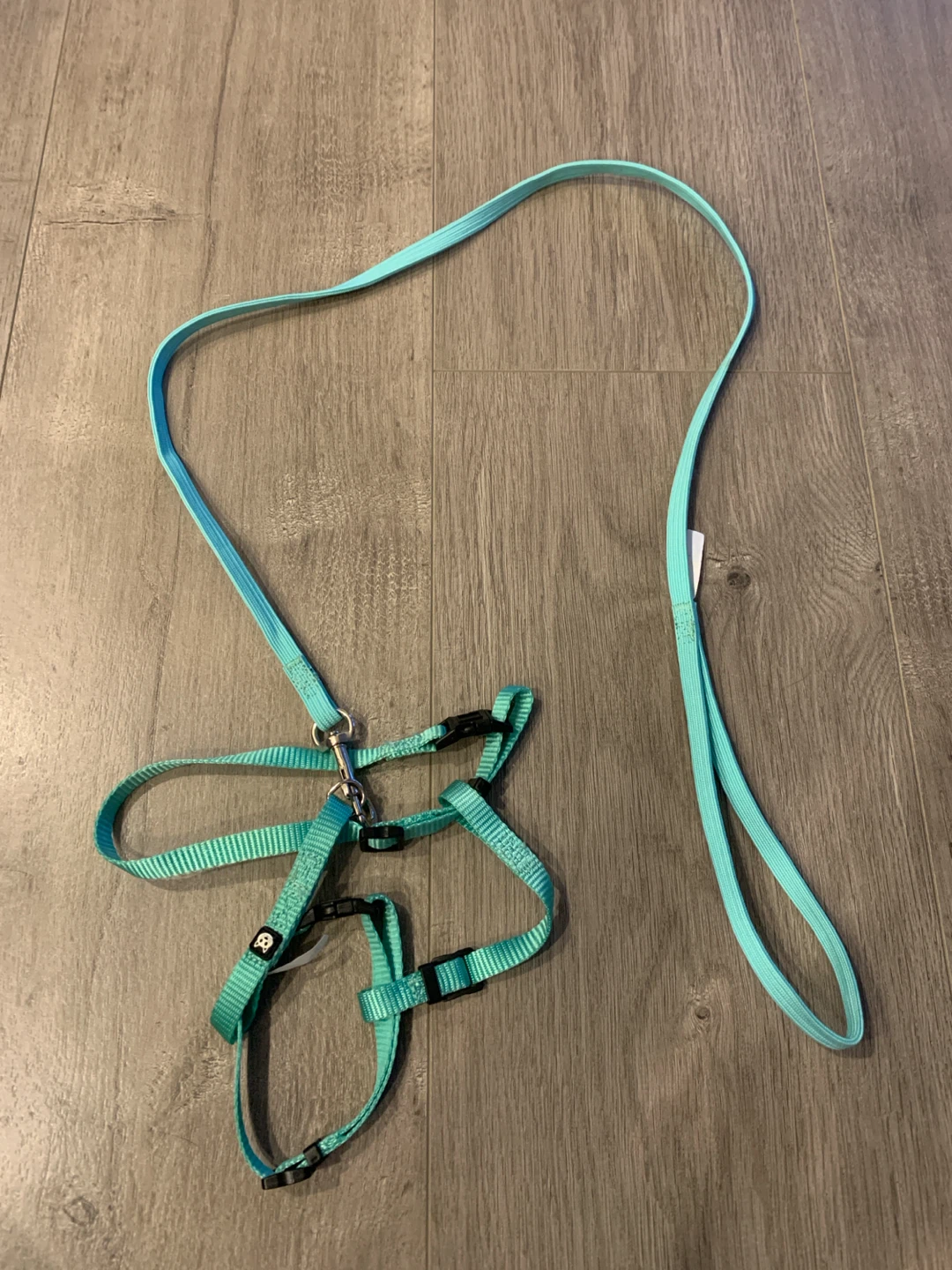 Teal Pet Cat Harness and Leash Set