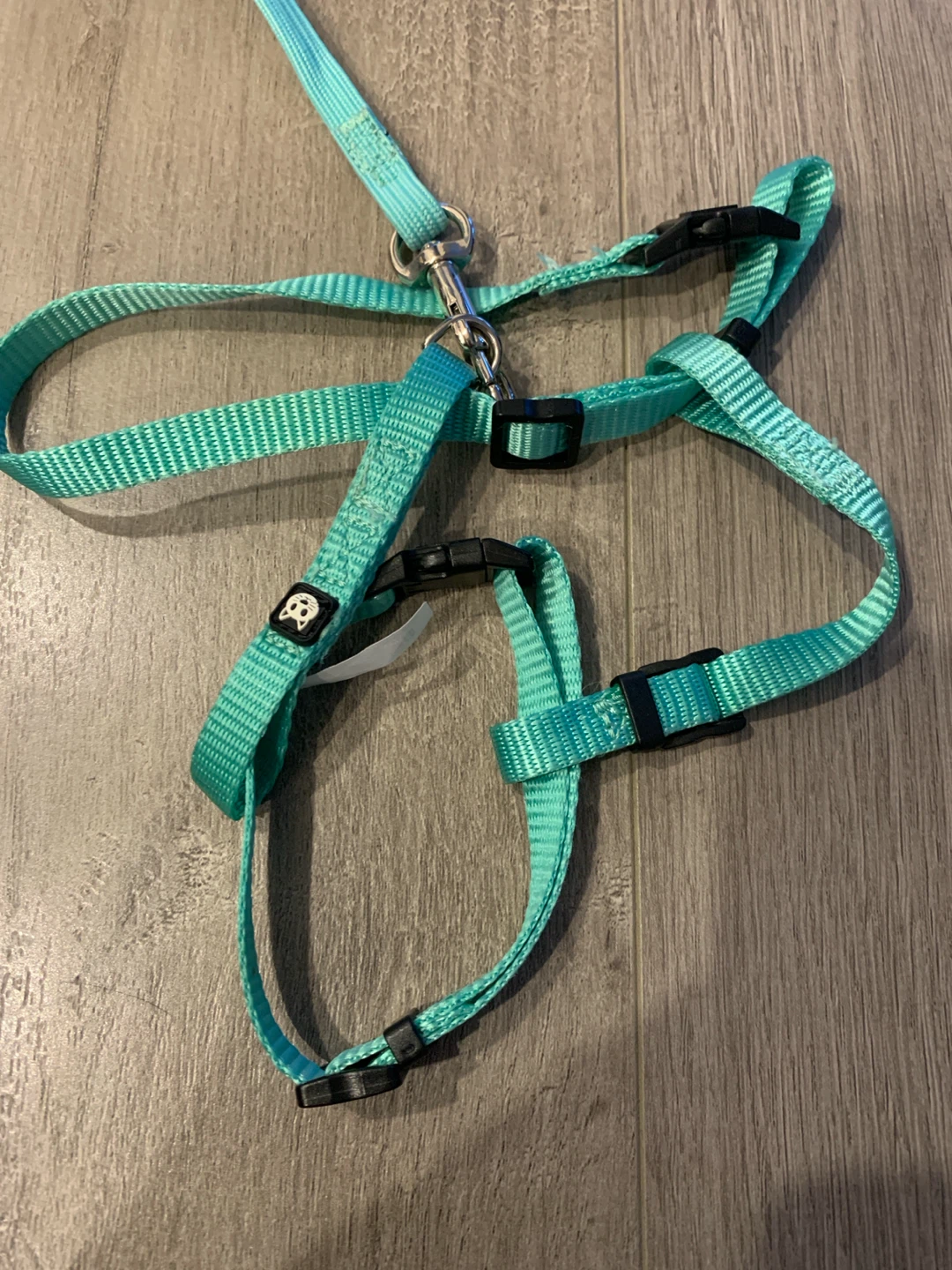 Teal Pet Cat Harness and Leash Set - photo 2