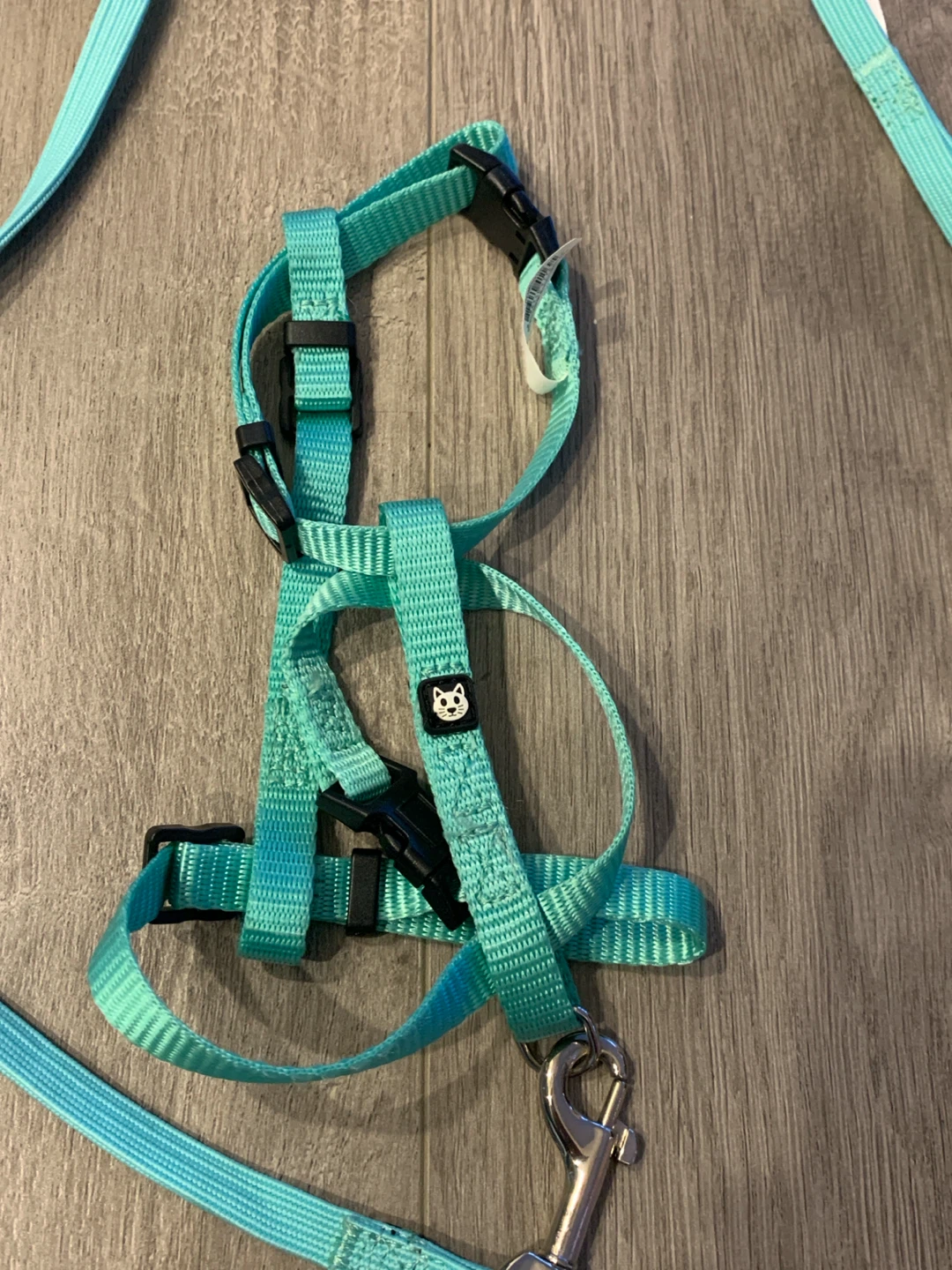 Teal Pet Cat Harness and Leash Set - photo 3