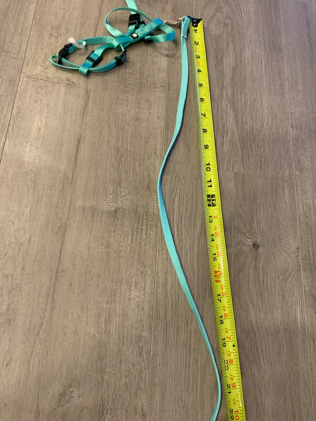 Teal Pet Cat Harness and Leash Set - photo 5
