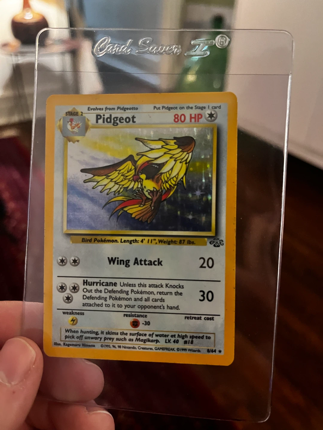 Pidgeot Pokémon Card holo