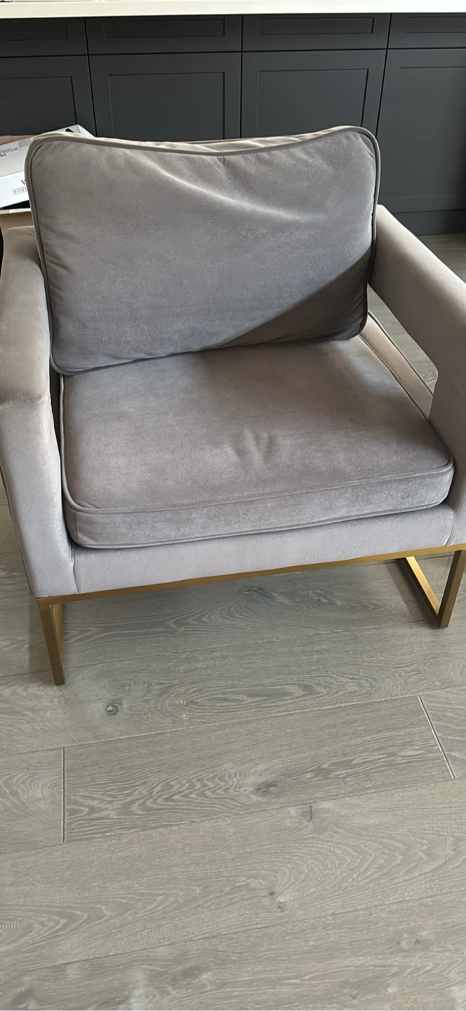 Grey Velvet Accent Chair with Gold Frame SET OF 2