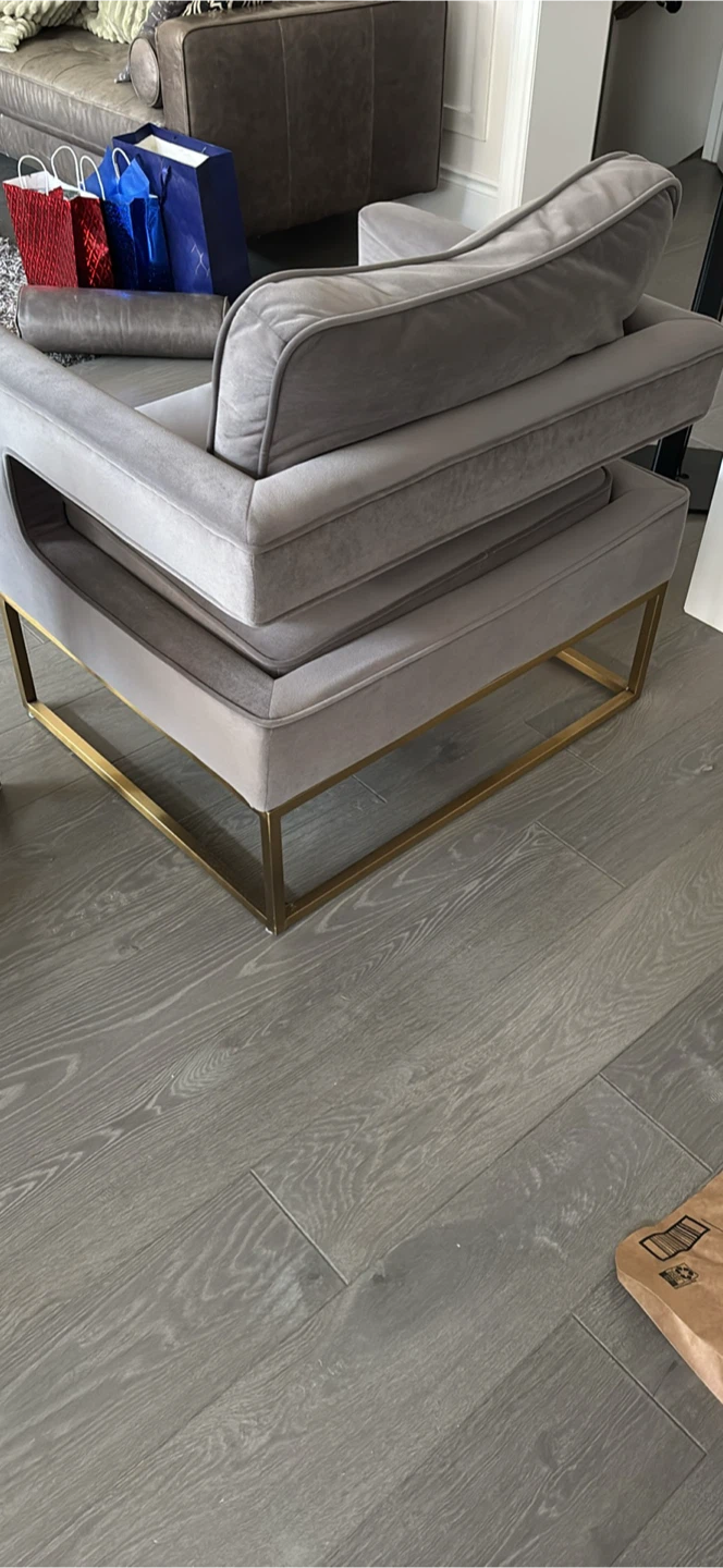 Grey Velvet Accent Chair with Gold Frame SET OF 2 - photo 3
