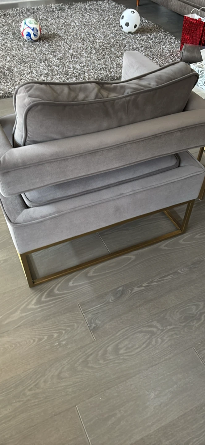 Grey Velvet Accent Chair with Gold Frame SET OF 2 - photo 4