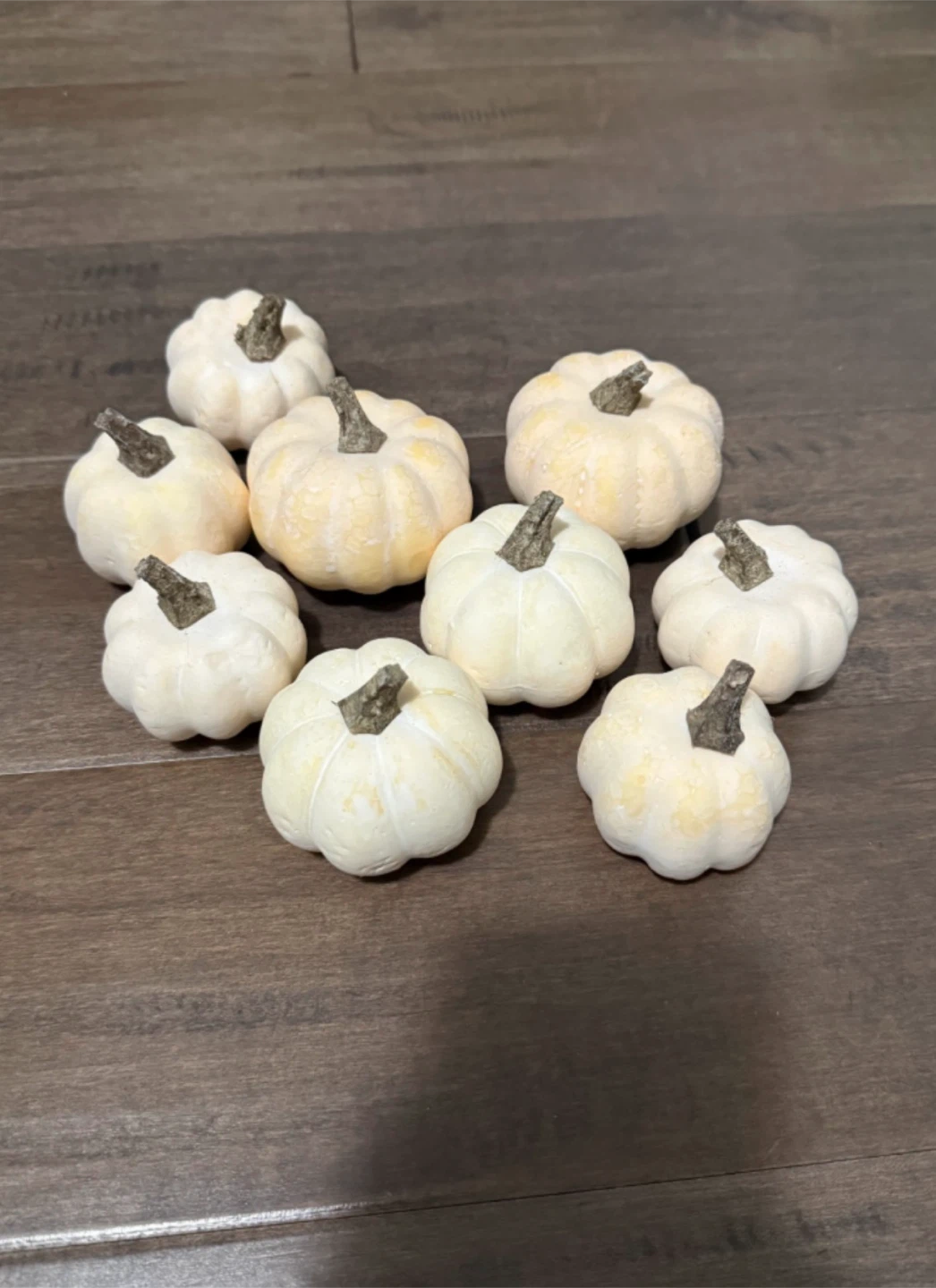 Ashland brand decorative pumpkins - Set of 9