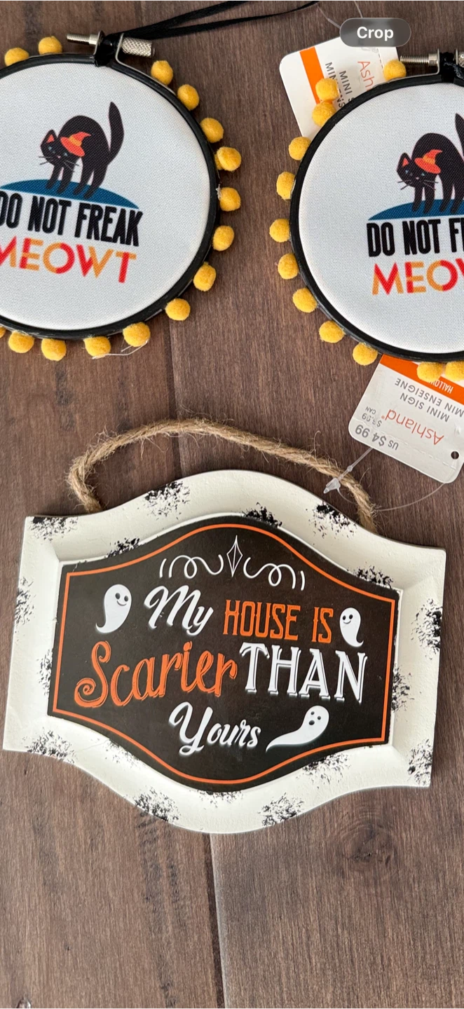 BNWT Halloween decor - photo 3