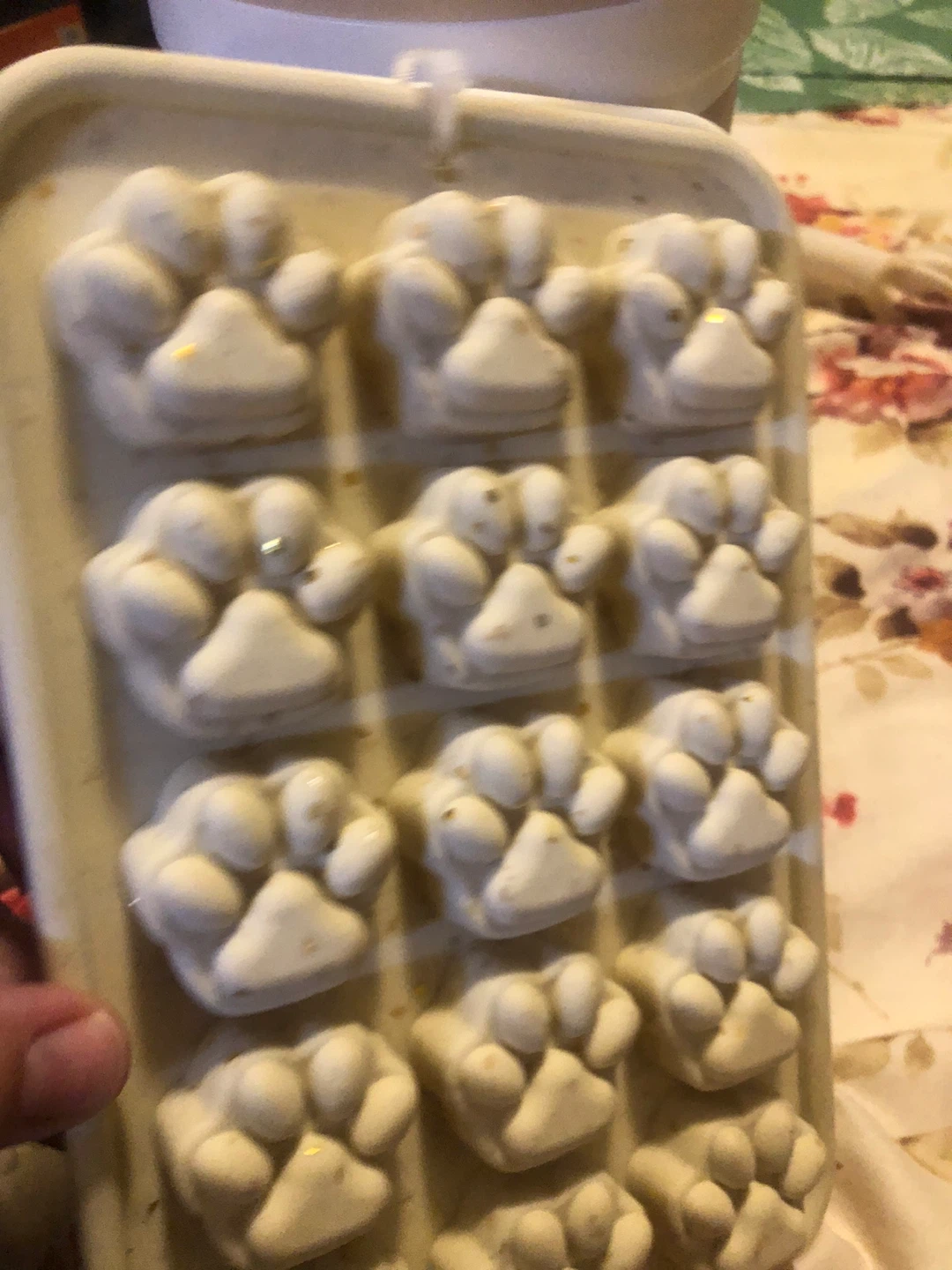 DexyPaws Pet Wipes & 2 NEW Silicone Treat Moulds - photo 4