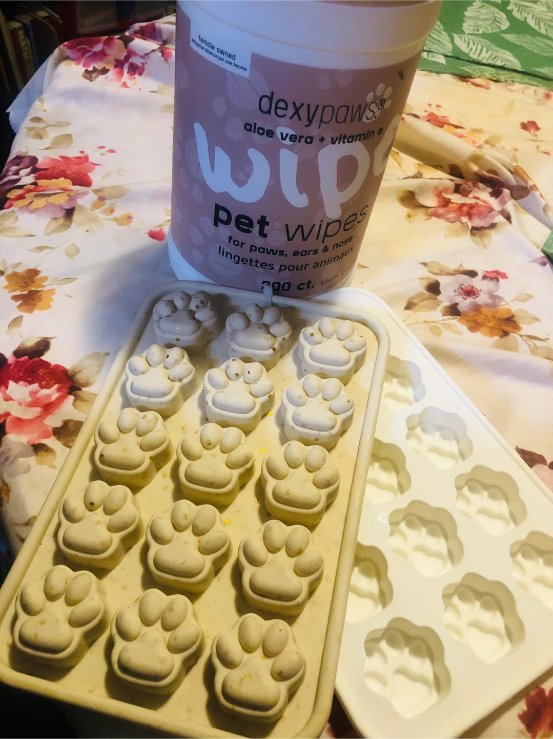 DexyPaws Pet Wipes & 2 NEW Silicone Treat Moulds