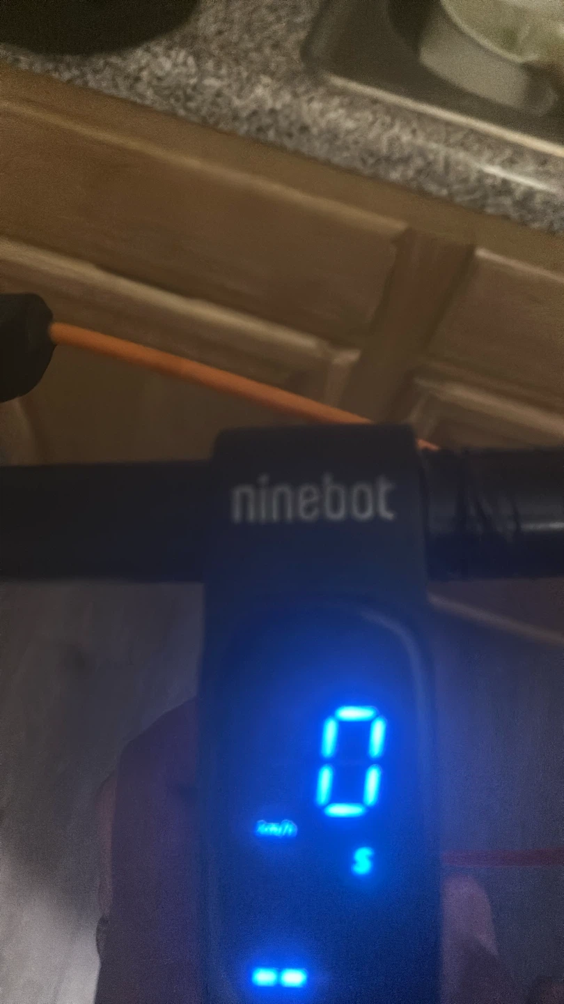 Ninebot Electric Scooter