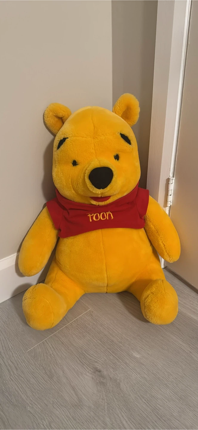 Winnie the Pooh Plush Toy