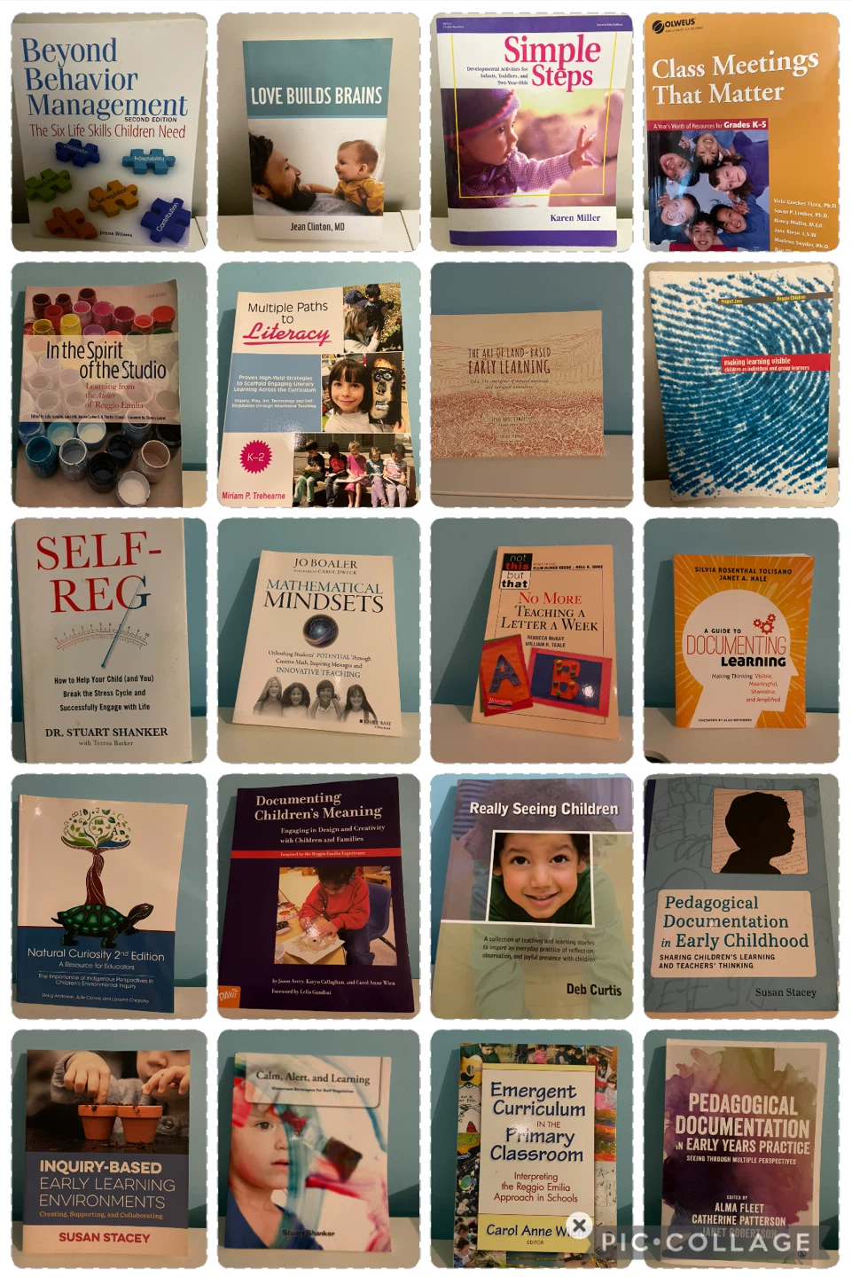 23 early childhood education resource books