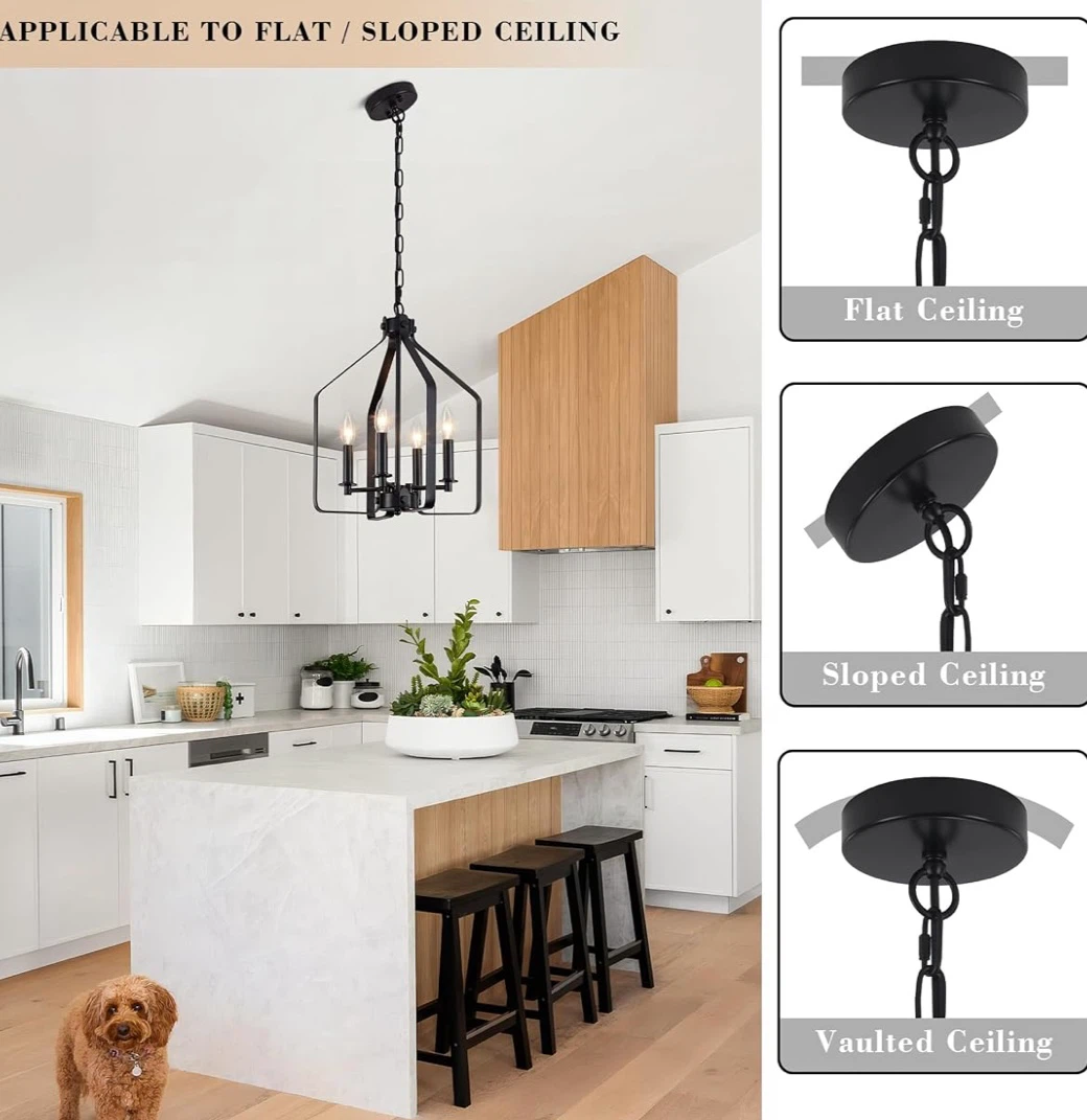 Black 4-Light Farmhouse Chandelier - photo 4