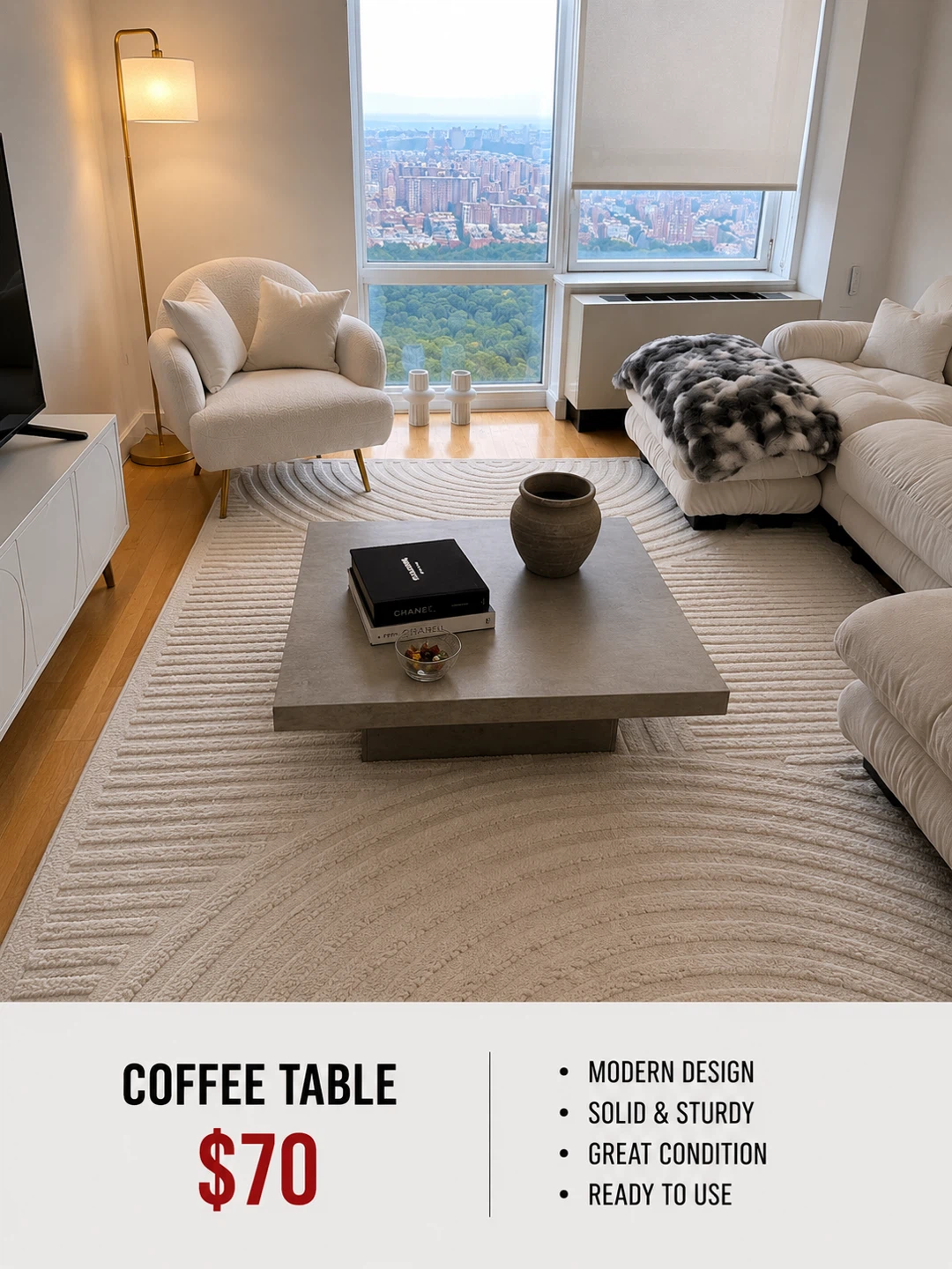 Modern Coffee Table - $70