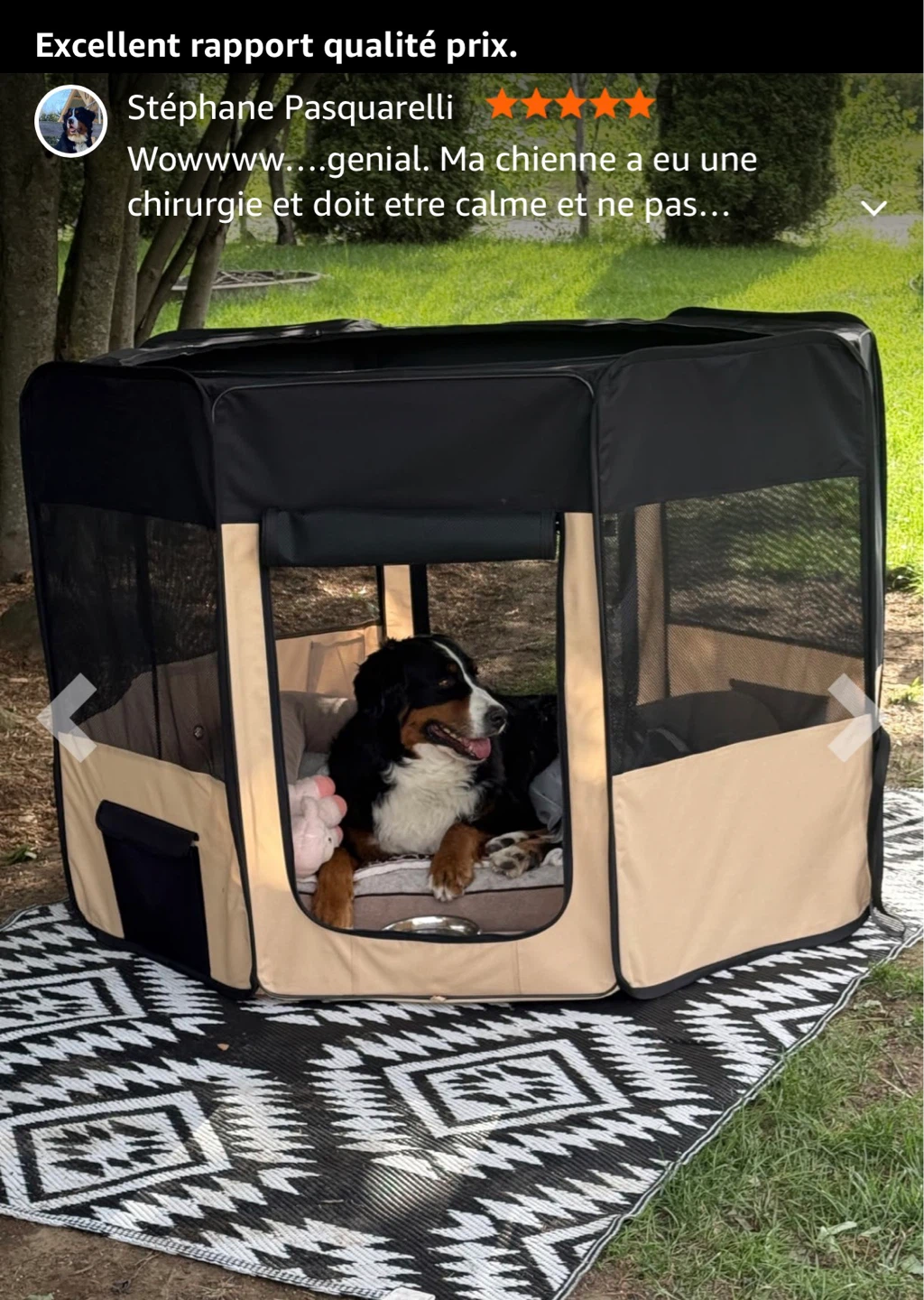 ZuHucpts 61" Portable Foldable Pet Playpen - New - photo 3
