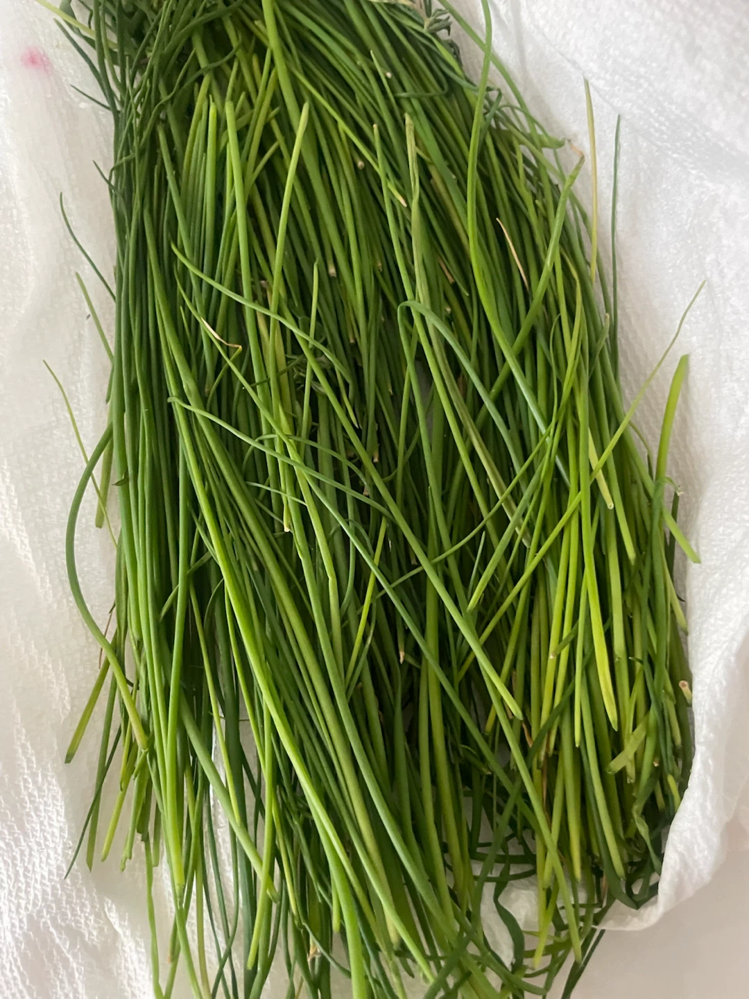 Fresh Garlic Chives - photo 2