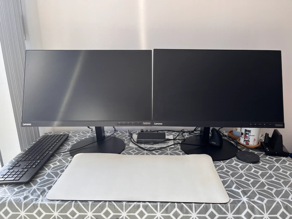 Lenovo ThinkVision Monitors (2x 23 inches)
