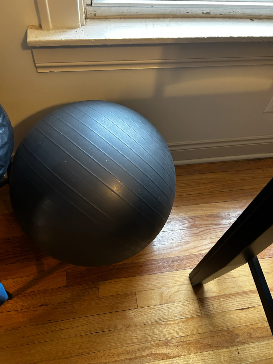 Black Exercise Ball