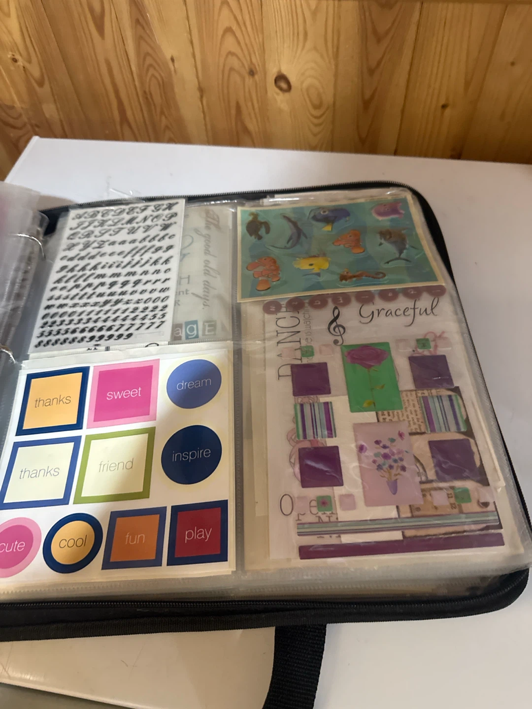 Scrapbook stickers and case - photo 3