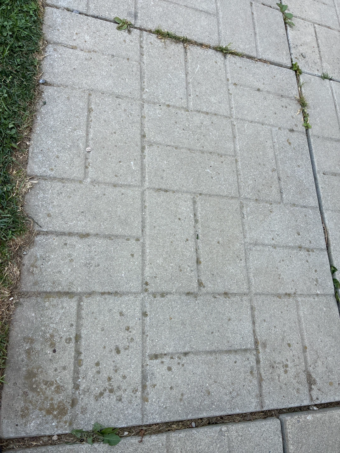 to BUY : 8  29.5 x  23t  concrete slabs with pattern shown