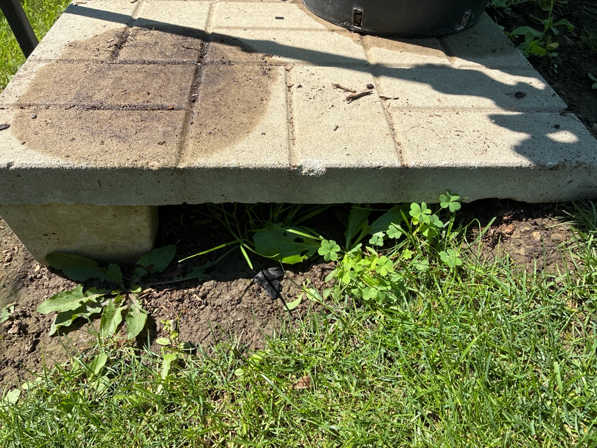 to BUY : 5/6  29.5 x  23t  concrete slabs : pattern /type shown