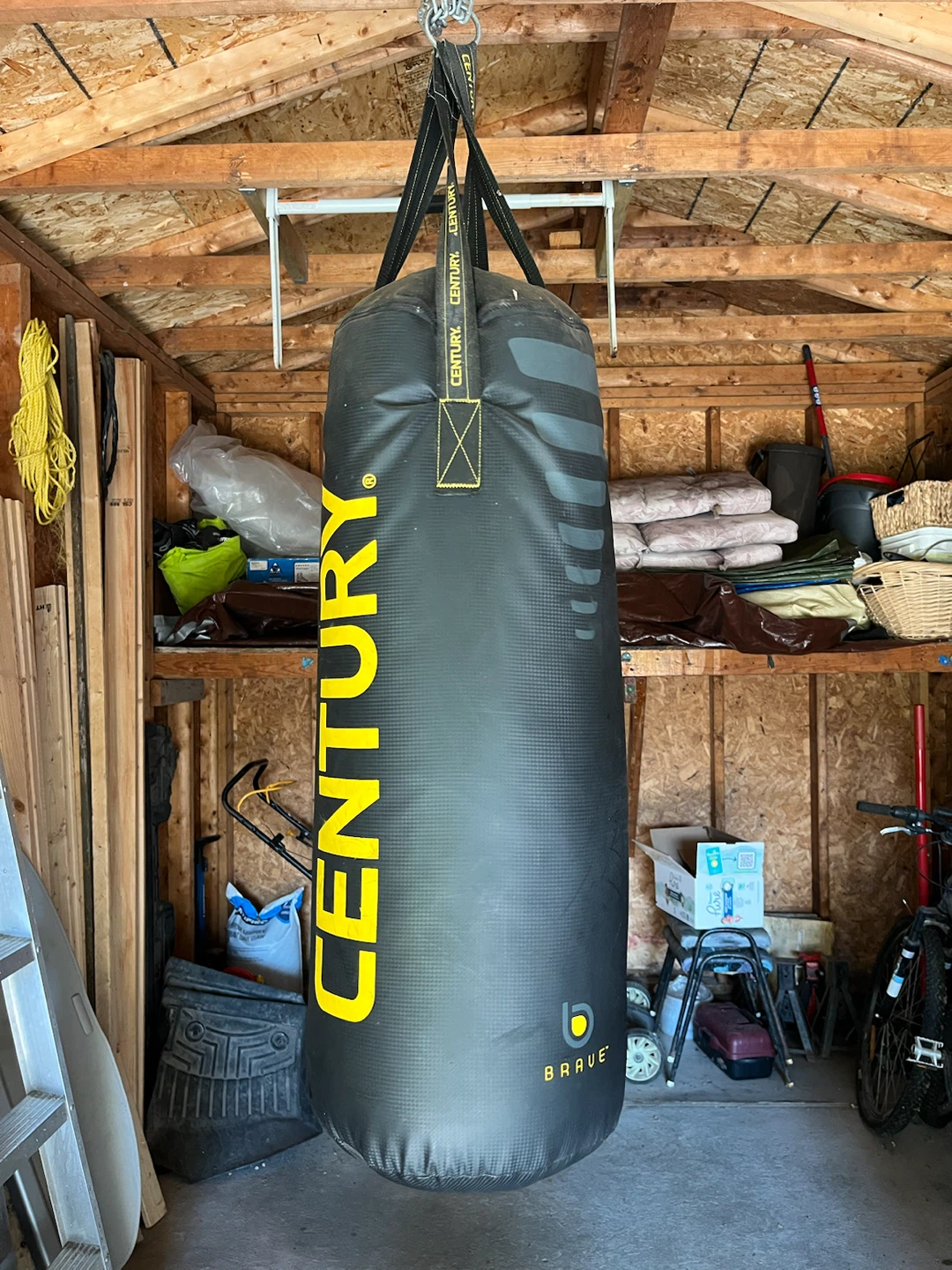 Century BRAVE Punching Bag