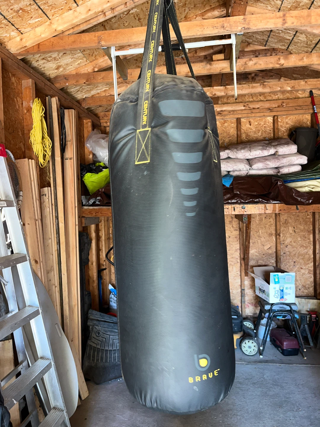 Century BRAVE Punching Bag - photo 2