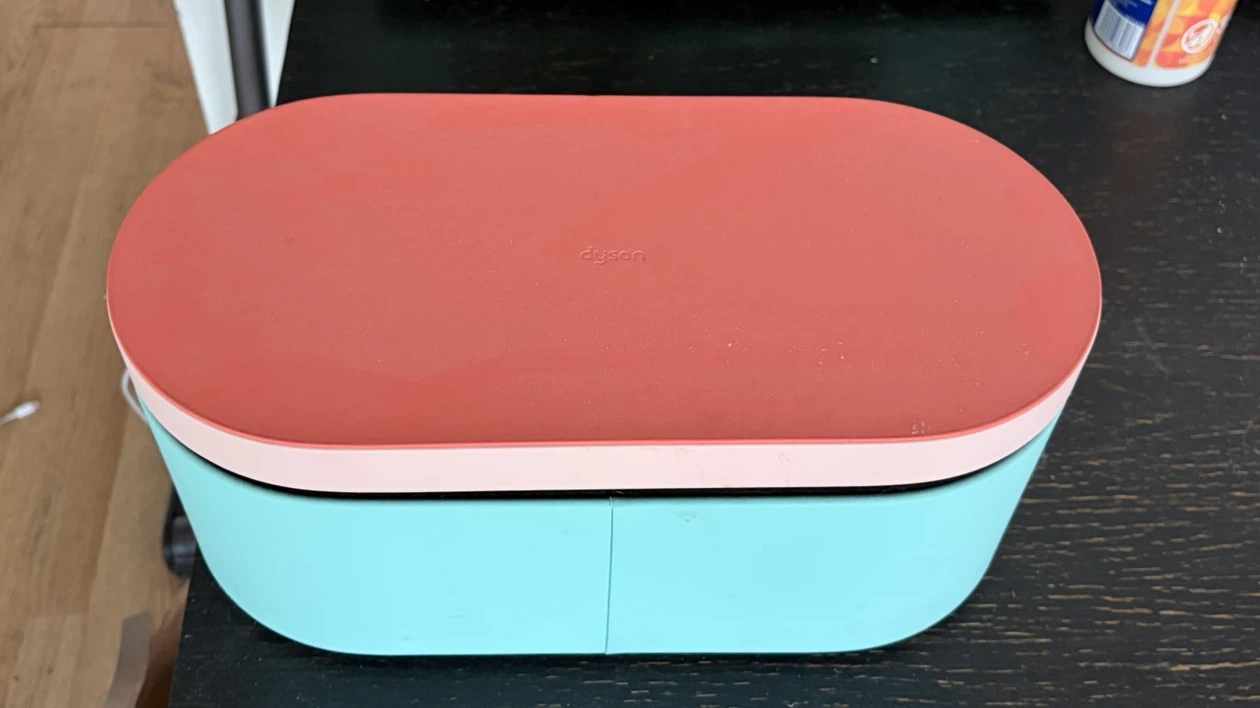 Dyson storage case