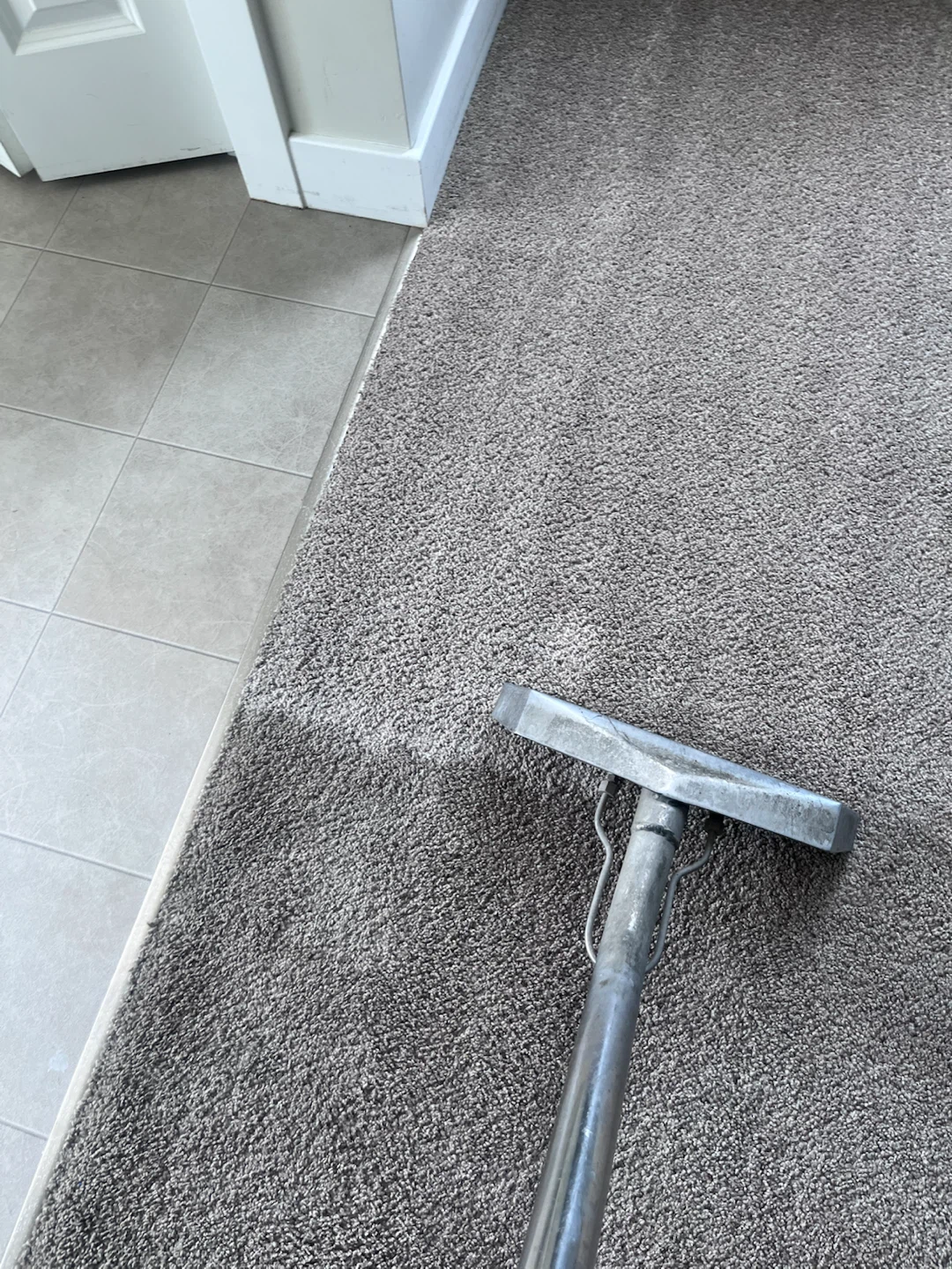 Carpet cleaning deals