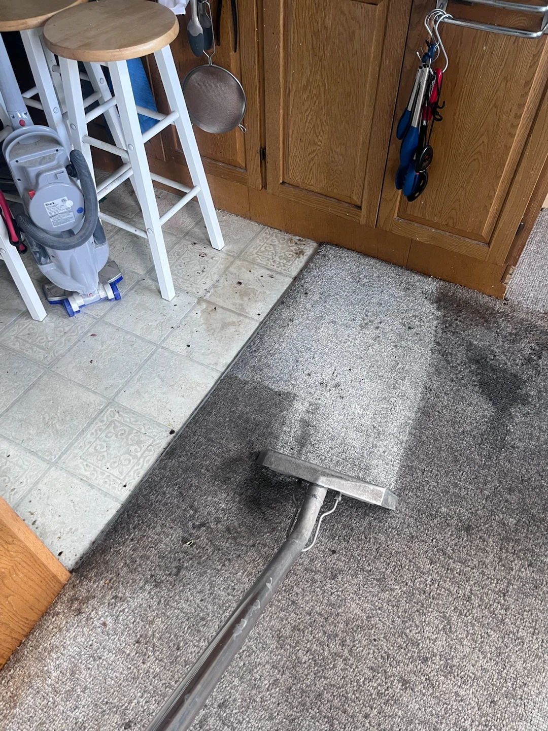 Carpet cleaning deals - photo 2