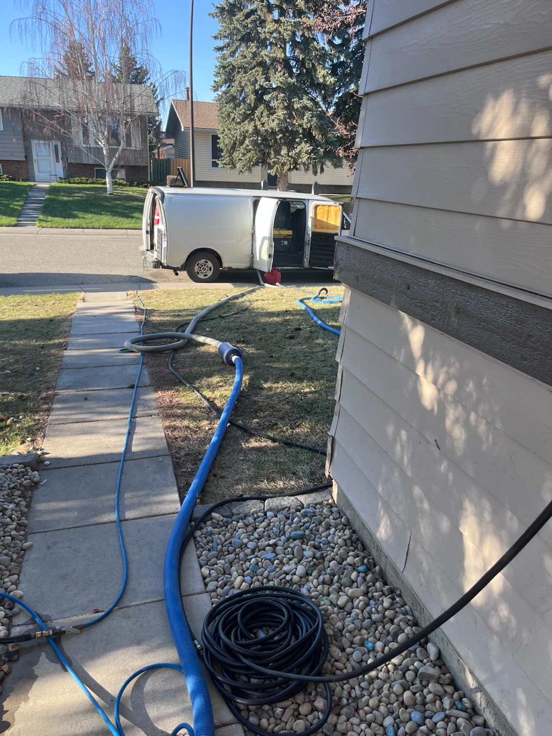 Carpet cleaning deals - photo 3