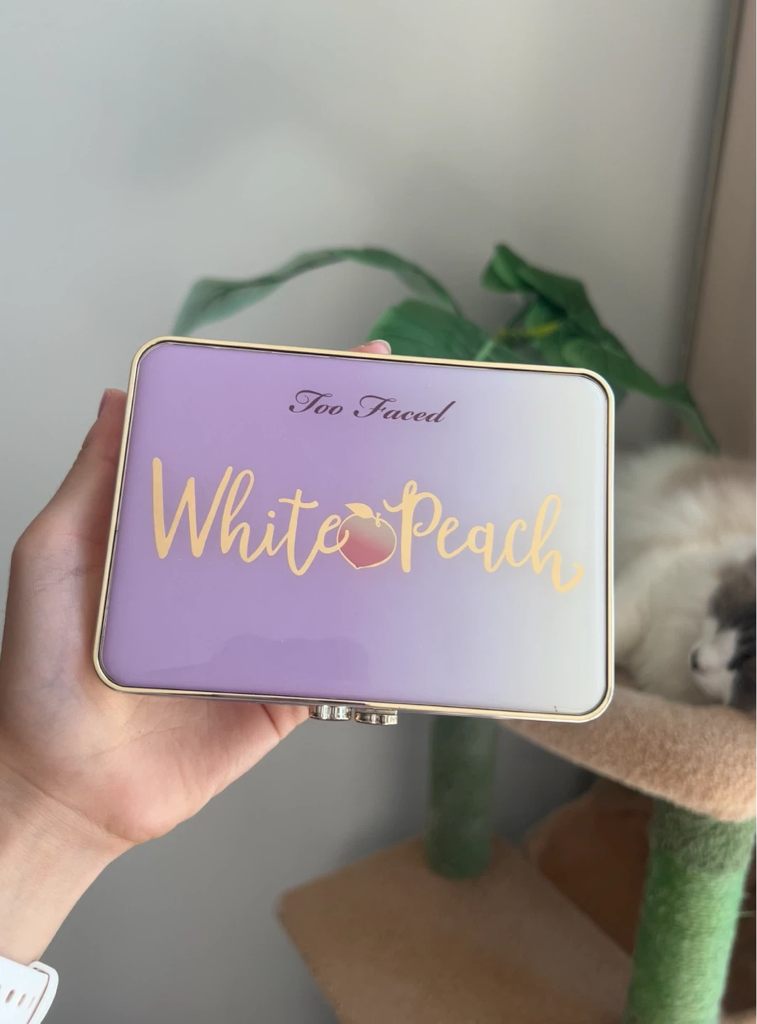 Too Faced White Peach Eyeshadow Palette