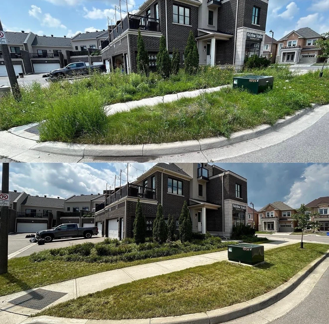 Landscaping: Yard and Lawn Maintenance Available
