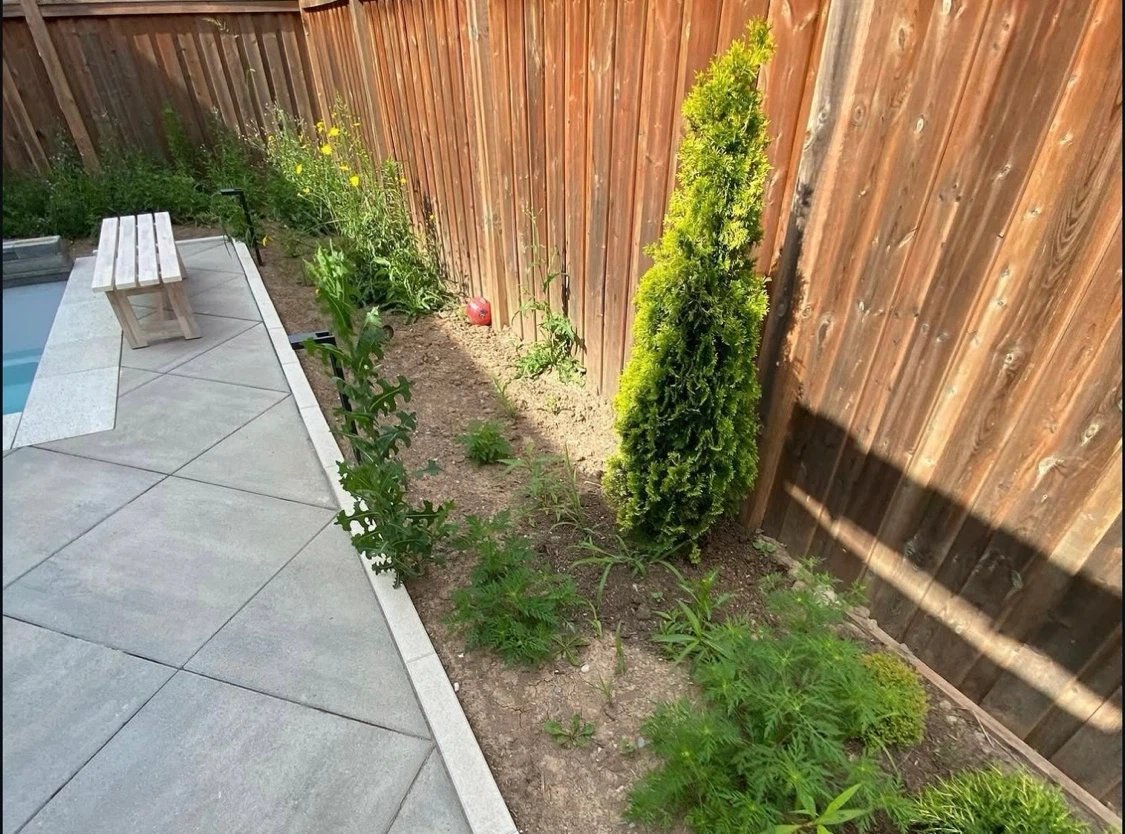 Landscaping: Yard and Lawn Maintenance Available - photo 3