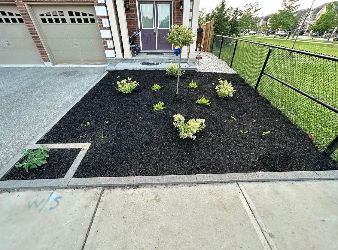Landscaping: Yard and Lawn Maintenance Available - photo 4