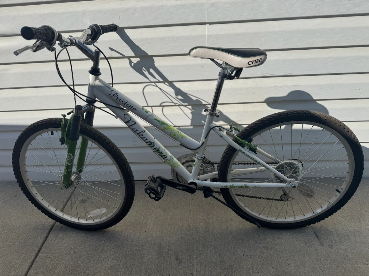 Ladies/Girls Nakamura Aluminum Mountain Bike