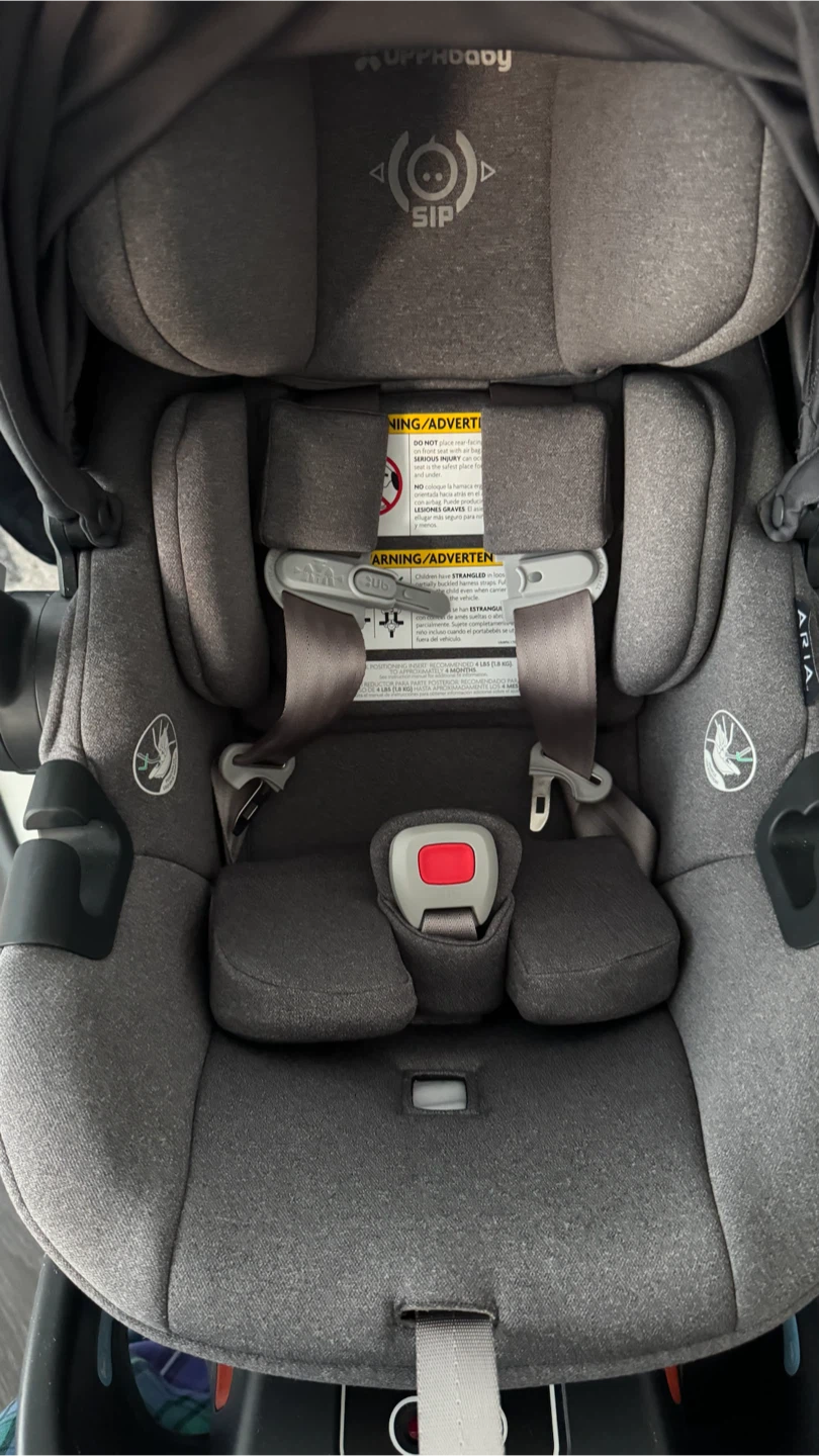 UPPAbaby Aria Infant Car Seat Greyson  | Excellent Condition